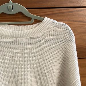 Cream Cashmere Everlane Sweater